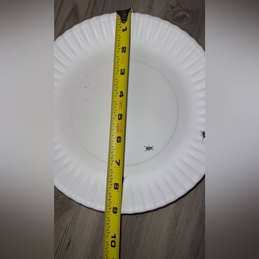 180 Degrees Reusable Melamine "Paper Plate Look" 8.75” Dinner Plates - Picture 8 of 8